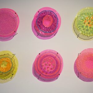 bioluminescence (Six Pieces)
