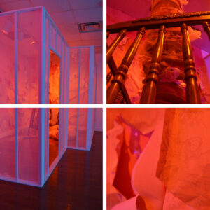 WOMB VEILS II