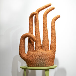 An ode to my Burgundy Ficus