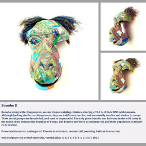 Bonobo II
