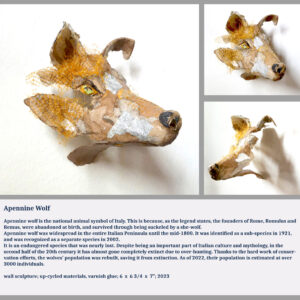 Apennine Wolf