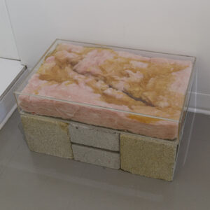 in the foundation