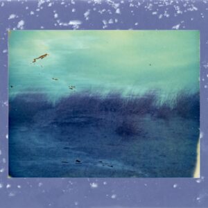 Lake Erie Day Dream