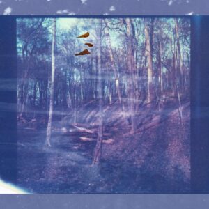Logan County Daydream
