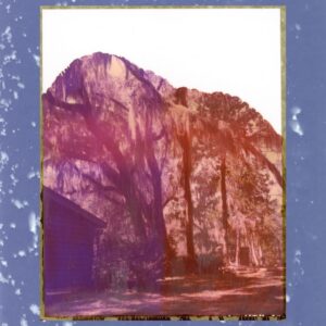 Memories upon Memories in Beaufort