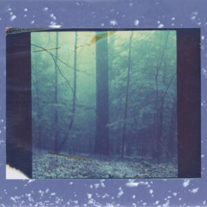 Mohican Pines